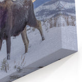 Grand Teton Wall Art – Majestic Moose in Snowy Landscape Photography