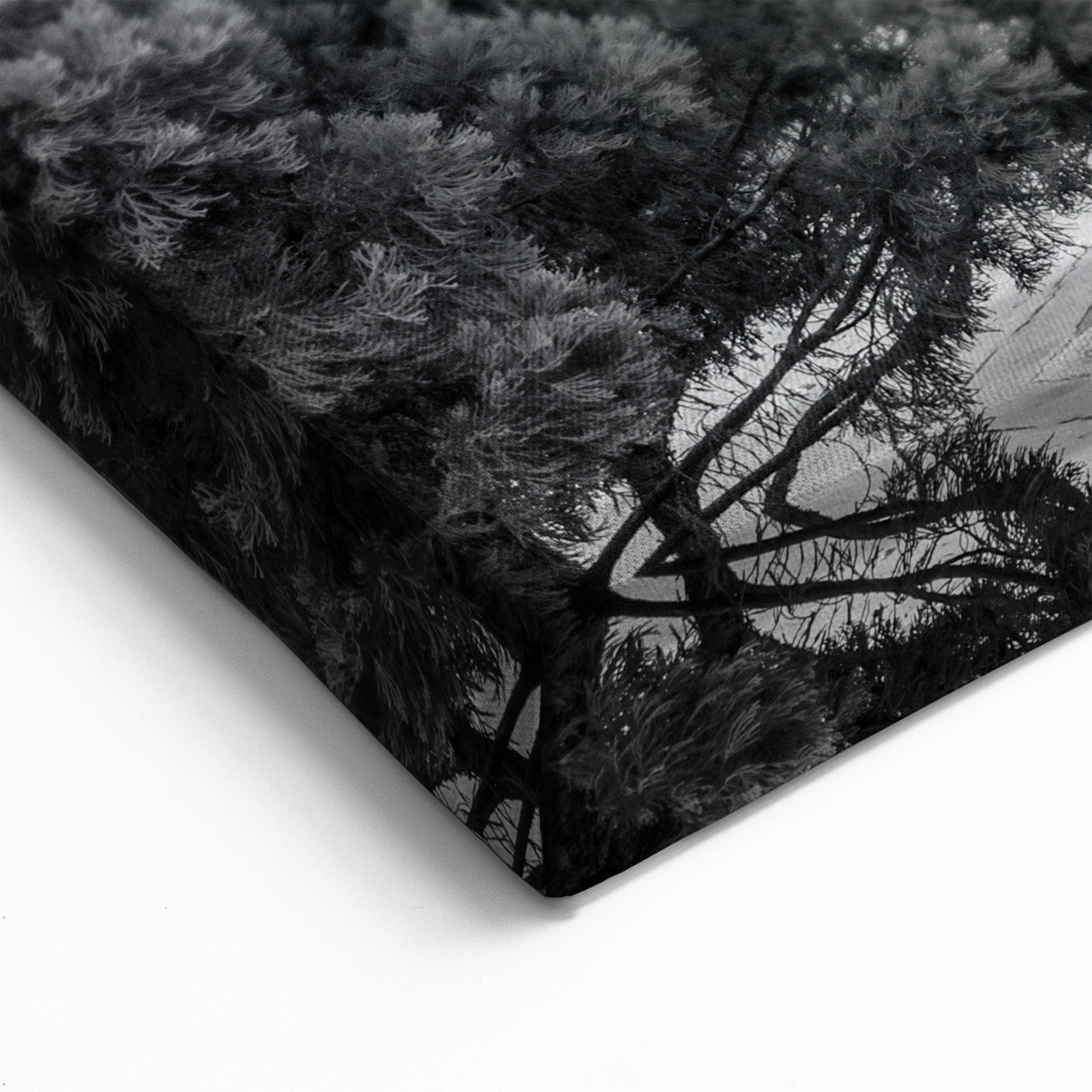 New Orleans Wall Art – Historic Mansion Architecture Photography Print