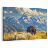 Grand Teton Photography Art – Majestic Bison in Teton Range Landscape