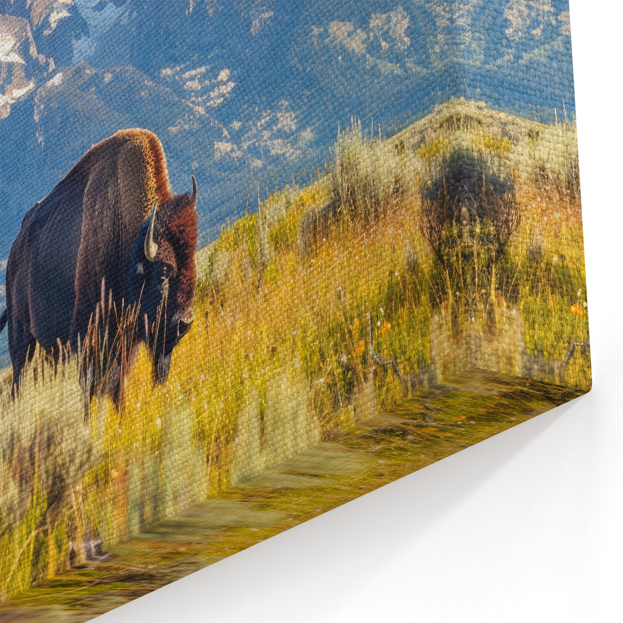 Grand Teton Photography Art – Majestic Bison in Teton Range Landscape