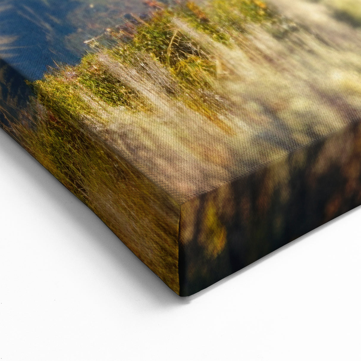 Grand Teton Photography Art – Majestic Bison in Teton Range Landscape