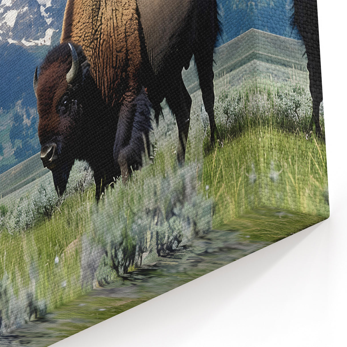 Grand Teton National Park Poster – Iconic Bison with Mountain Backdrop