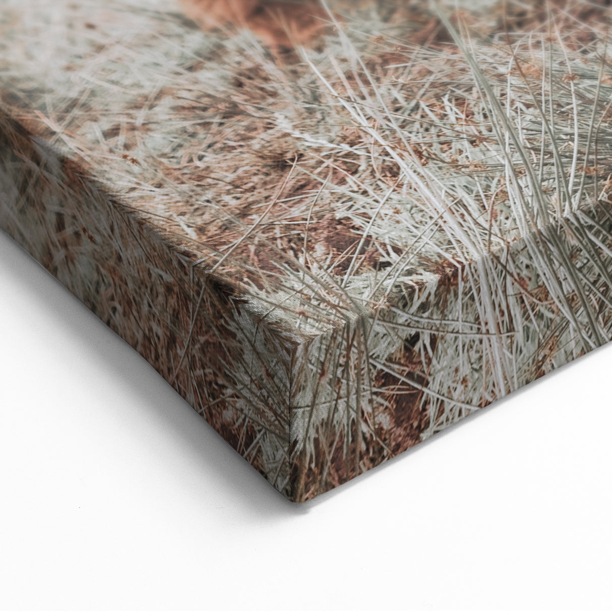 Rustic Farmhouse Wall Art - Highland Cow Country Style Decor Print