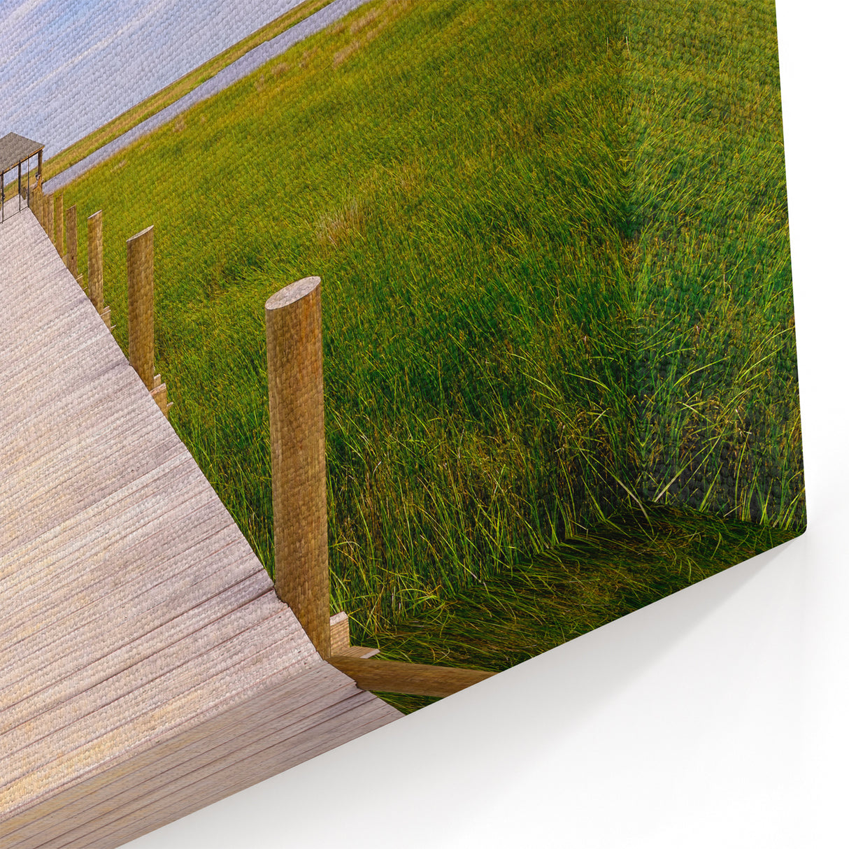 Louisiana Nature Prints – Marshland Boardwalk with Scenic Sky View