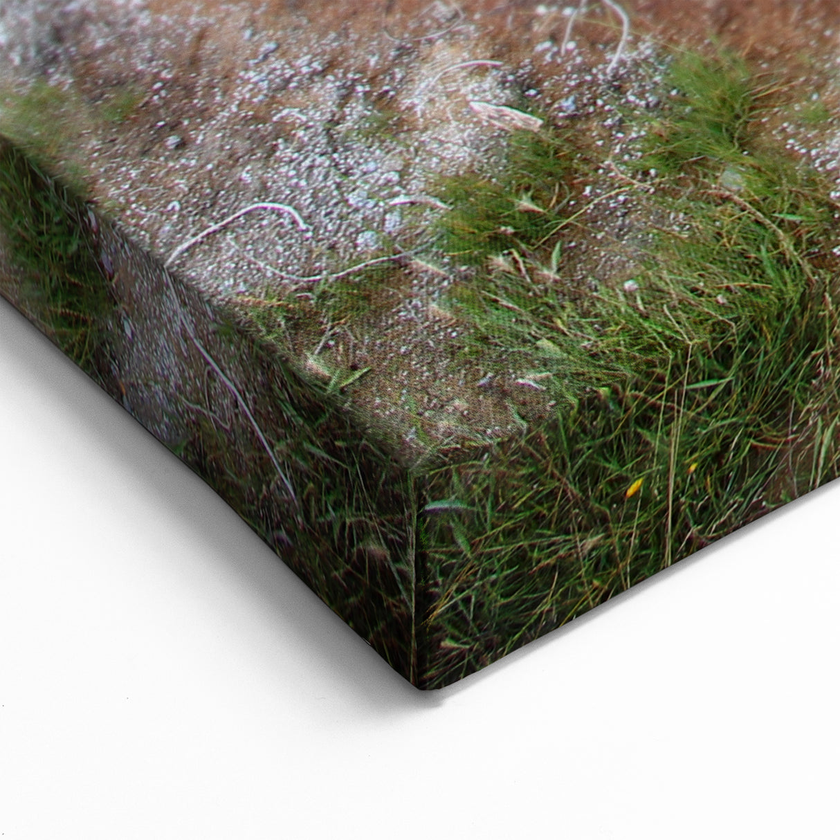 Yellowstone National Park Art – Grand Prismatic Spring Canvas Print