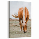 Farmhouse Wall Art - Grazing Horse Rustic Country Style Decor Print