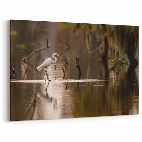 Louisiana Swamp Painting – Egret in Calm Bayou with Reflections