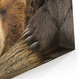 Yellowstone National Park Art – Grizzly Bear Wildlife Canvas Print