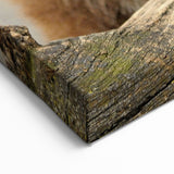 Yellowstone National Park Art – Grizzly Bear Wildlife Canvas Print