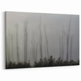 Louisiana Nature Prints – Mysterious Trees in Foggy Wetlands Landscape
