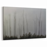 Louisiana Nature Prints – Mysterious Trees in Foggy Wetlands Landscape