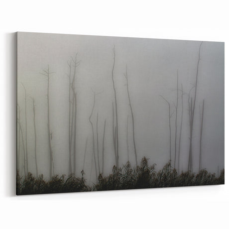 Louisiana Nature Prints – Mysterious Trees in Foggy Wetlands Landscape