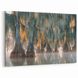 Louisiana Swamp Paintings – Cypress Trees with Spanish Moss in the Mist