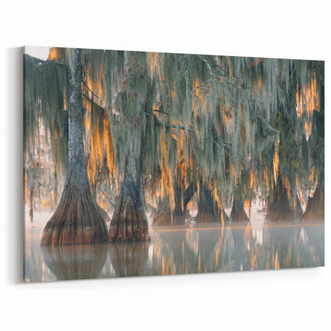 Louisiana Swamp Paintings – Cypress Trees with Spanish Moss in the Mist