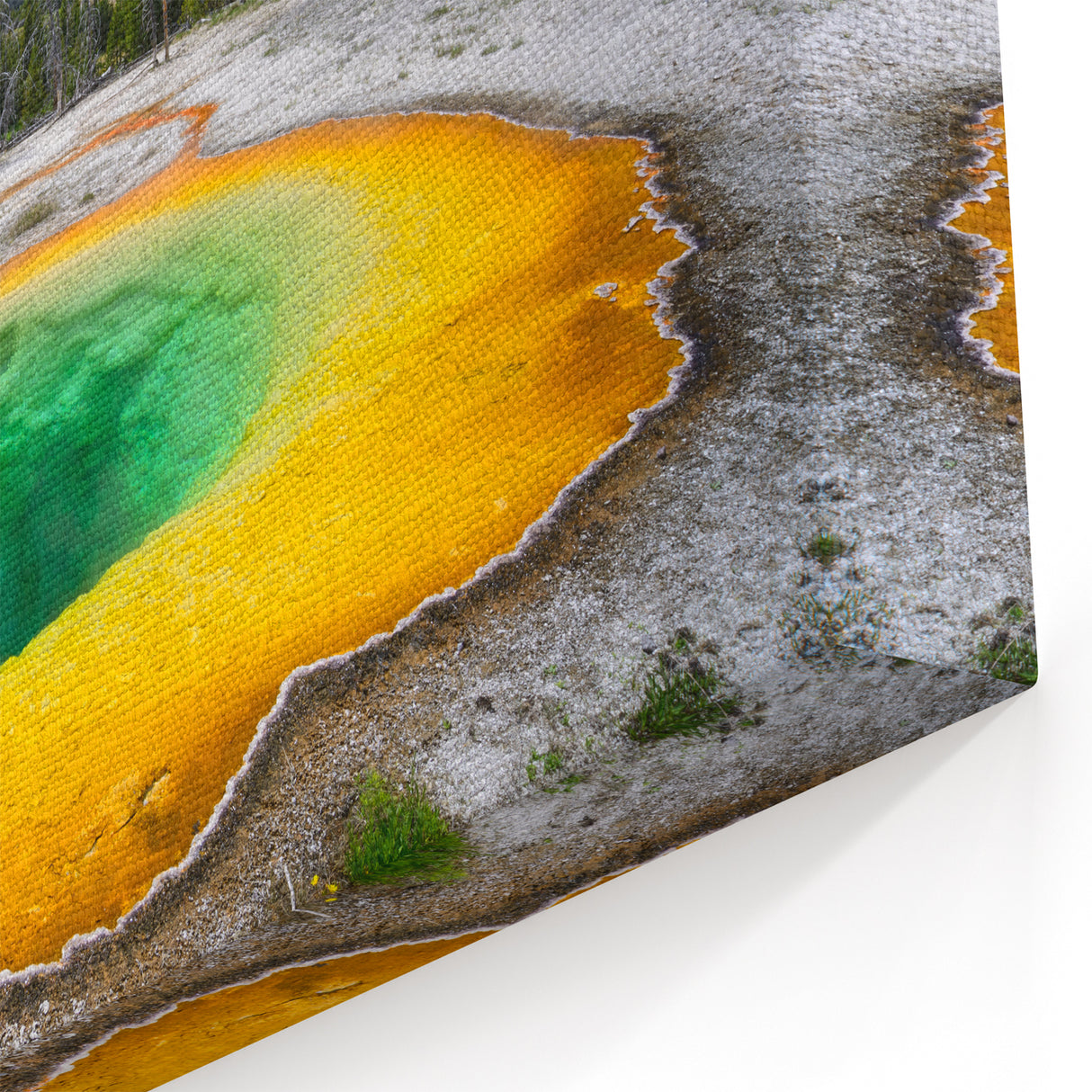 Yellowstone Giclee Prints – Morning Glory Pool Scenic Art Photography