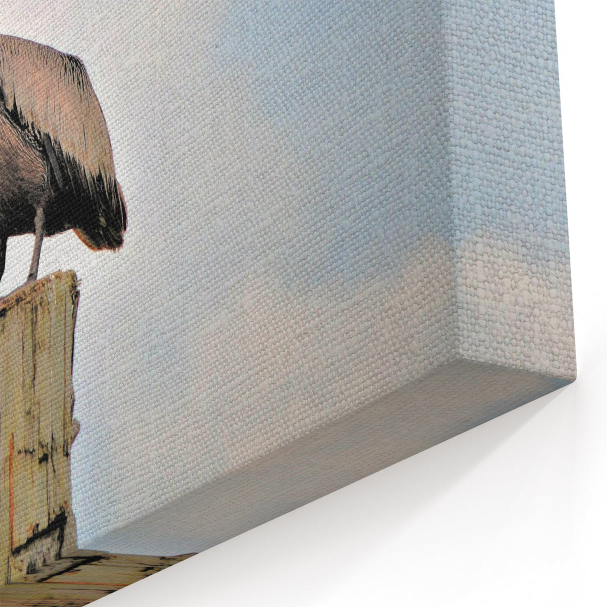 Louisiana Wildlife Prints – Brown Pelican Perched with Cloudy Sky Backdrop