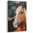 Farmhouse Wall Art - Blonde Horse Portrait Rustic Country Style Decor