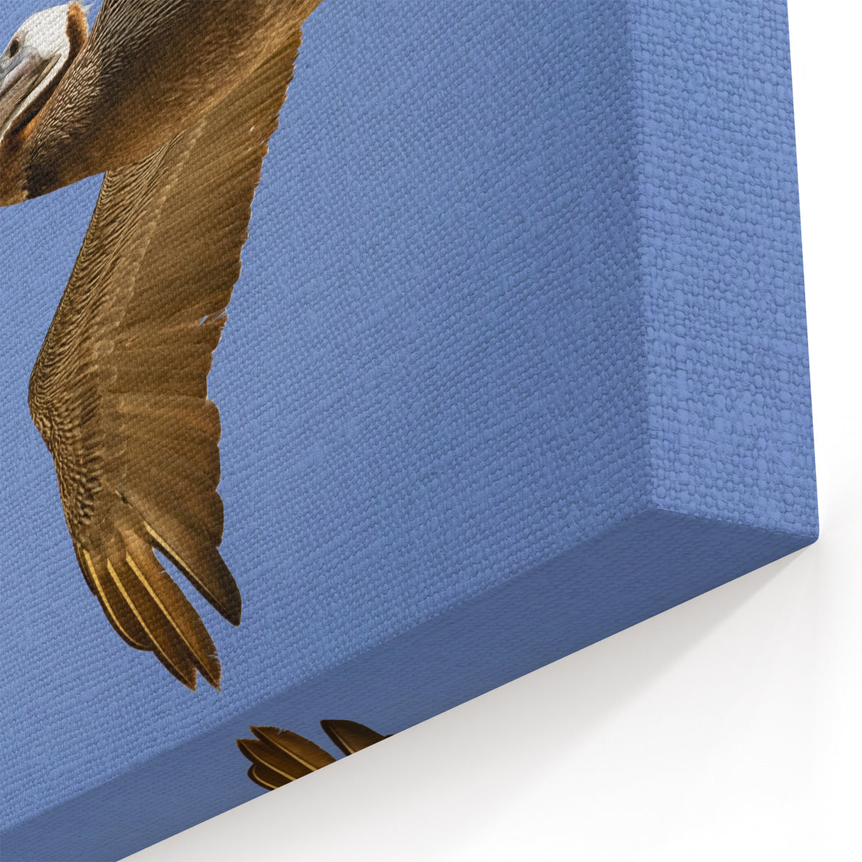 Mississippi River Art - Soaring Pelican Over the Louisiana Sky