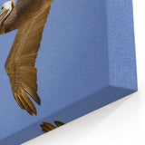 Mississippi River Art - Soaring Pelican Over the Louisiana Sky