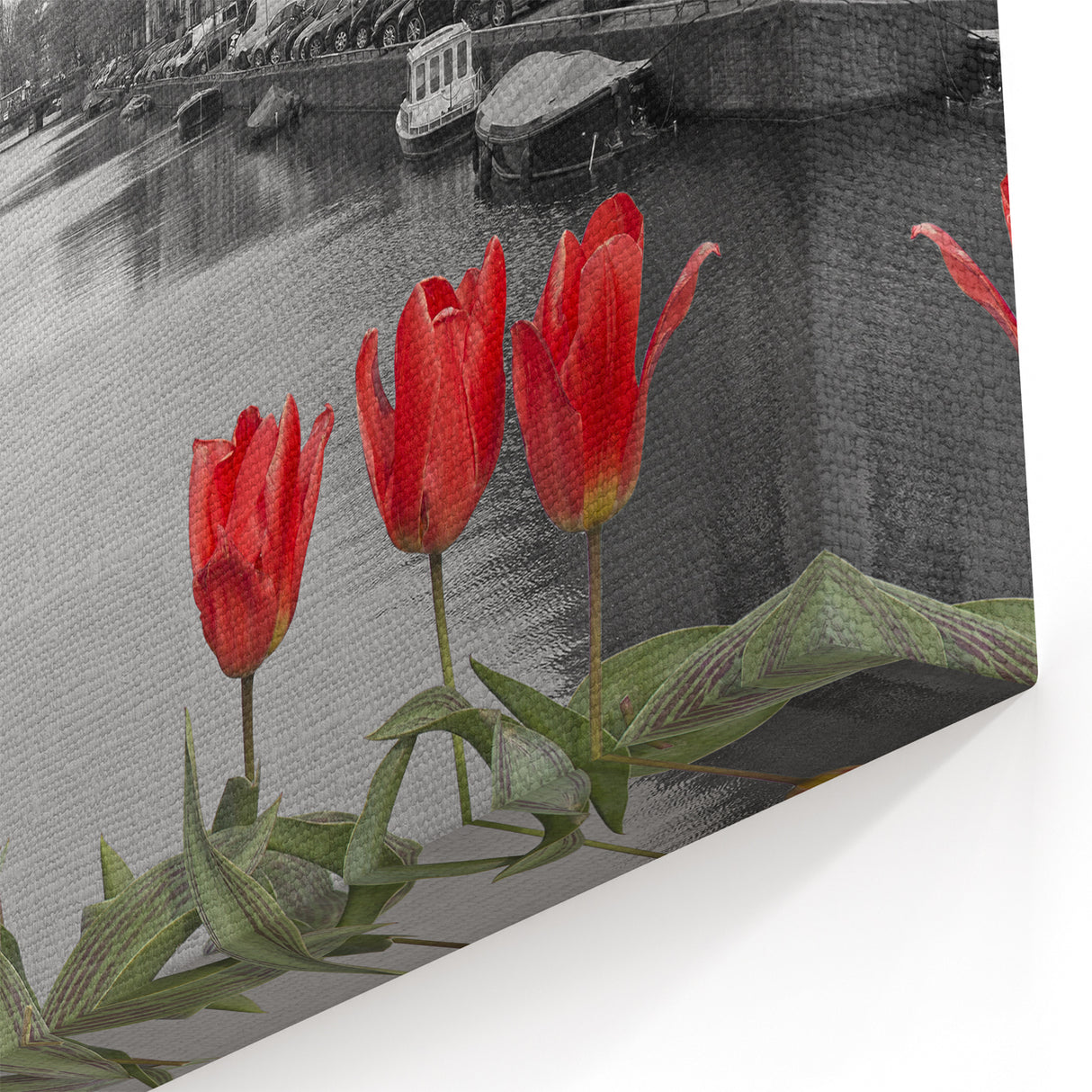 Venice Framed Art - Tulips and Venetian Canal Photography