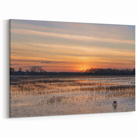 Louisiana Nature Prints - Golden Sunset Over Bayou Wetlands