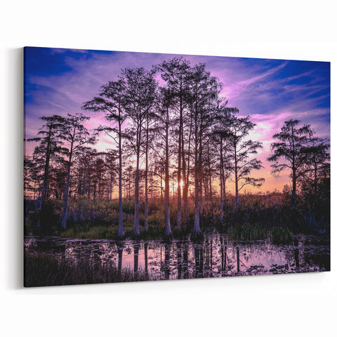 Louisiana Swamp Paintings - Vibrant Sunset Over Cypress Trees and Bayou