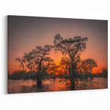 Louisiana Swamp Paintings - Fiery Sunset Over Cypress Trees and Bayou