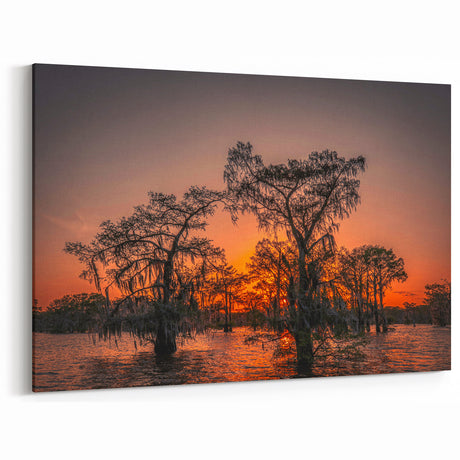 Louisiana Swamp Paintings - Fiery Sunset Over Cypress Trees and Bayou