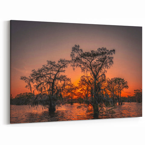 Louisiana Swamp Paintings - Fiery Sunset Over Cypress Trees and Bayou