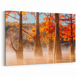 Louisiana Swamp Paintings - Misty Morning Cypress Trees in Fall Colors