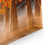 Louisiana Swamp Paintings - Misty Morning Cypress Trees in Fall Colors