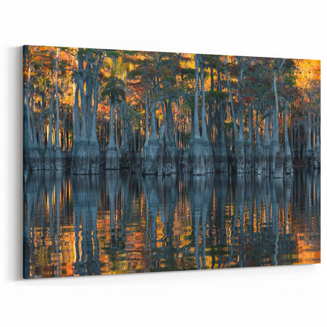 Mississippi River Art - Reflections of Cypress Trees in Louisiana Bayou