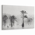 Black and White Louisiana Wall Art - Misty Cypress Trees in the Bayou