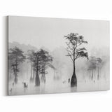 Black and White Louisiana Wall Art - Misty Cypress Trees in the Bayou