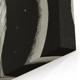 Dark Academia Wall Art | Vintage Gothic Moon Lady | Shadowy Art Piece