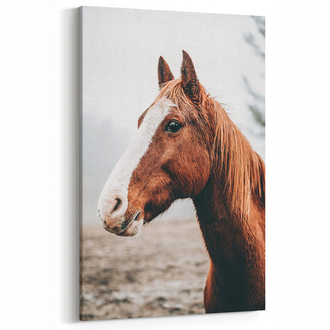Farmhouse Wall Art - Majestic Horse Portrait Rustic Country Style Decor
