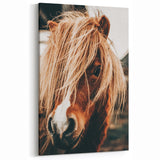 Farmhouse Wall Art - Pony with Flowing Mane Rustic Country Style Decor