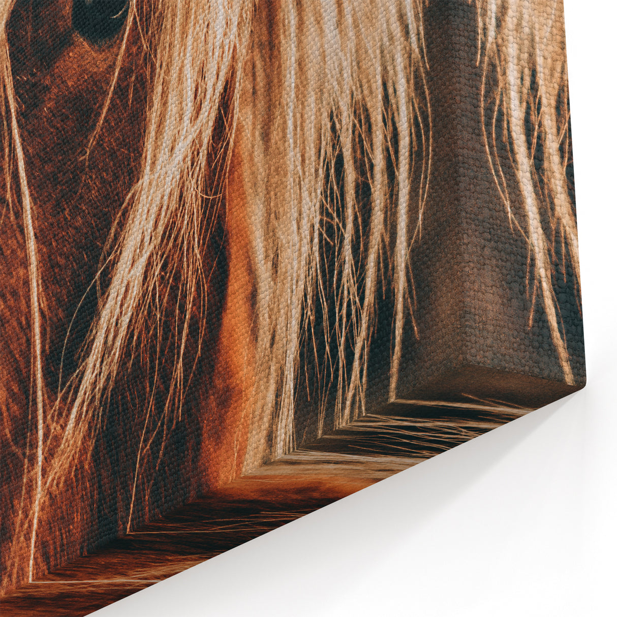 Farmhouse Wall Art - Pony with Flowing Mane Rustic Country Style Decor