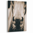 Farmhouse Wall Art - Close-Up Horse Nose Rustic Country Style Decor