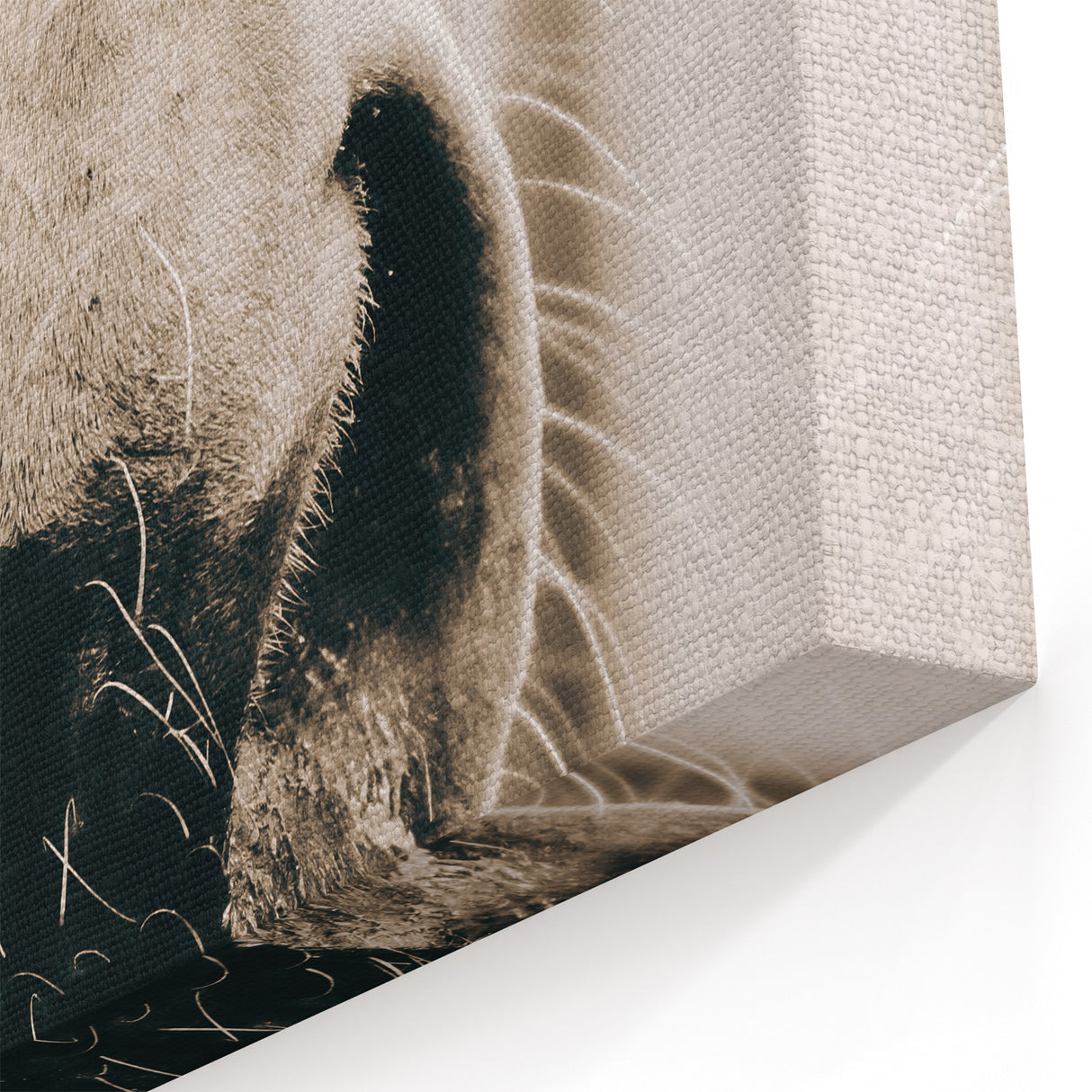 Farmhouse Wall Art - Close-Up Horse Nose Rustic Country Style Decor