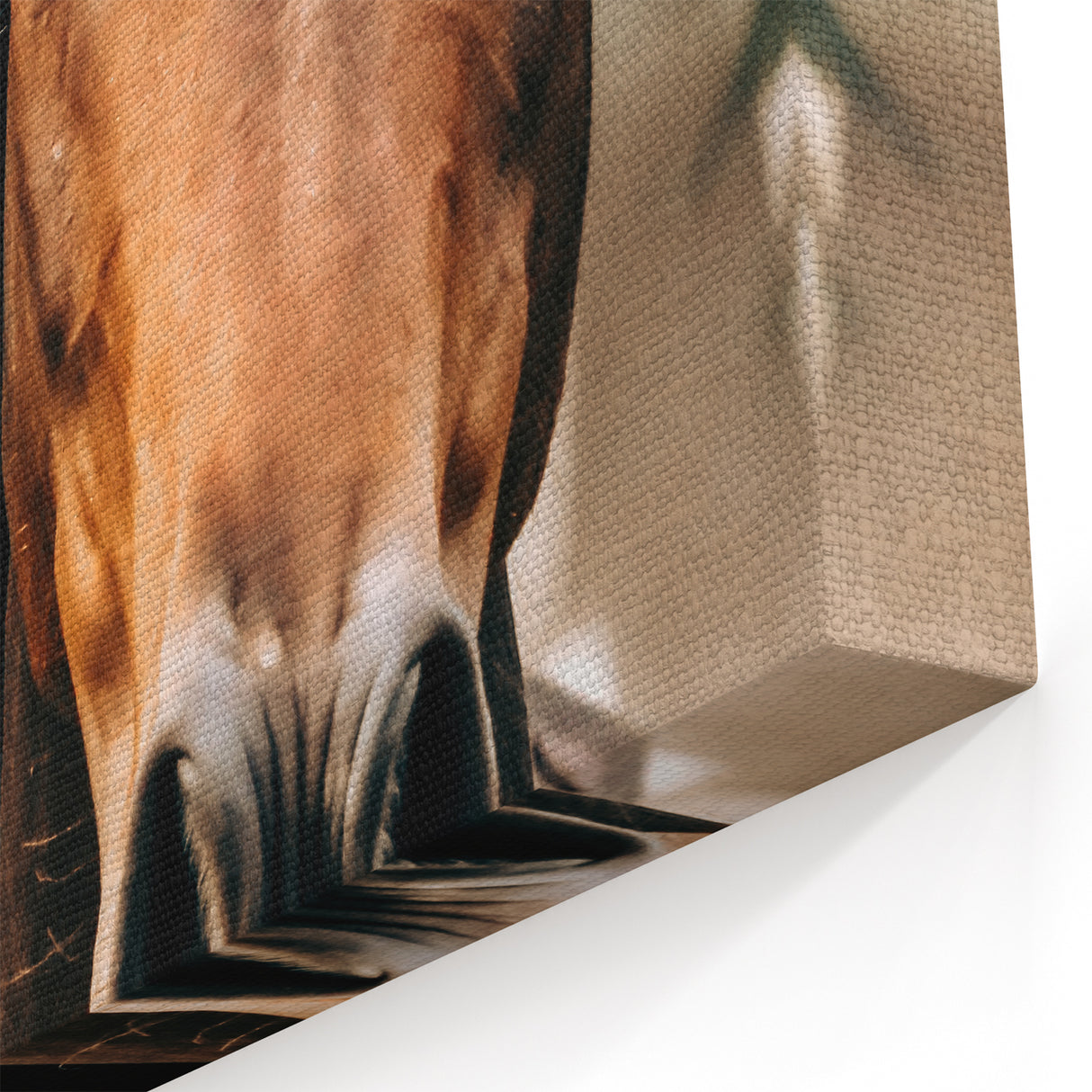 Dynamic Horse Portrait - Rustic Farmhouse Wall Art for Country Living