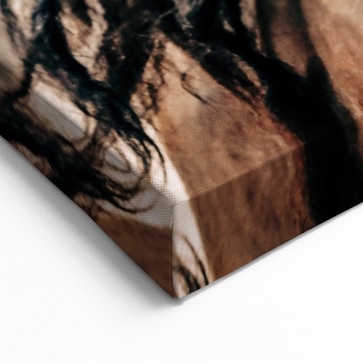 Dynamic Horse Portrait - Rustic Farmhouse Wall Art for Country Living