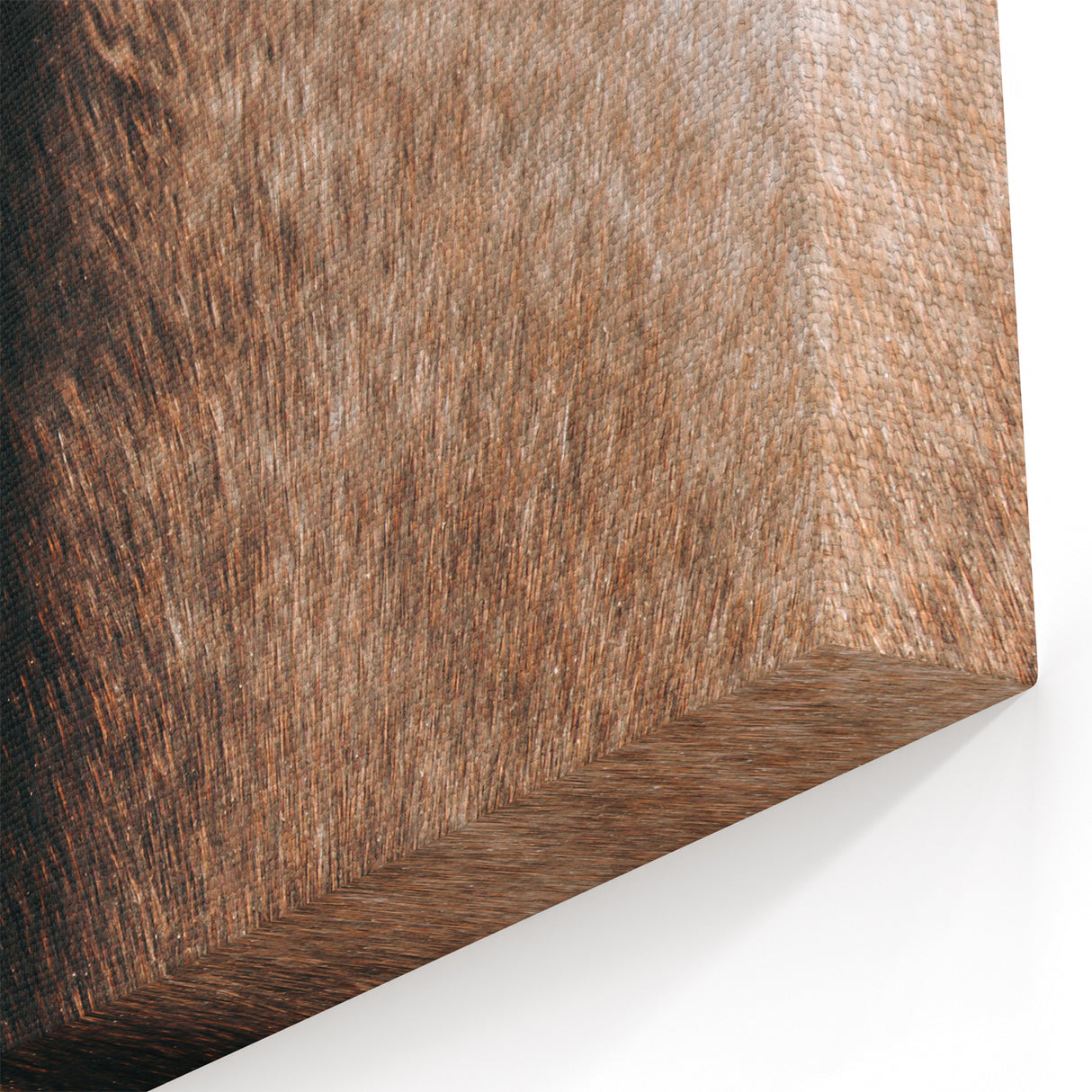 Close-Up Horse Mane - Rustic Farmhouse Wall Art for Country Living