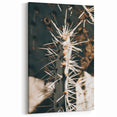Close-Up Cactus Spines - Rustic Desert Farmhouse Wall Art for Country Decor
