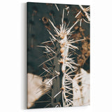 Close-Up Cactus Spines - Rustic Desert Farmhouse Wall Art for Country Decor