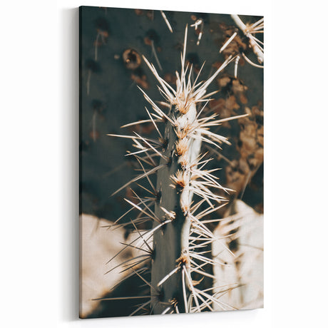 Close-Up Cactus Spines - Rustic Desert Farmhouse Wall Art for Country Decor