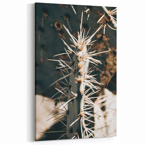 Close-Up Cactus Spines - Rustic Desert Farmhouse Wall Art for Country Decor