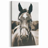 Gentle Horse Portrait - Rustic Farmhouse Wall Art for Country Decor