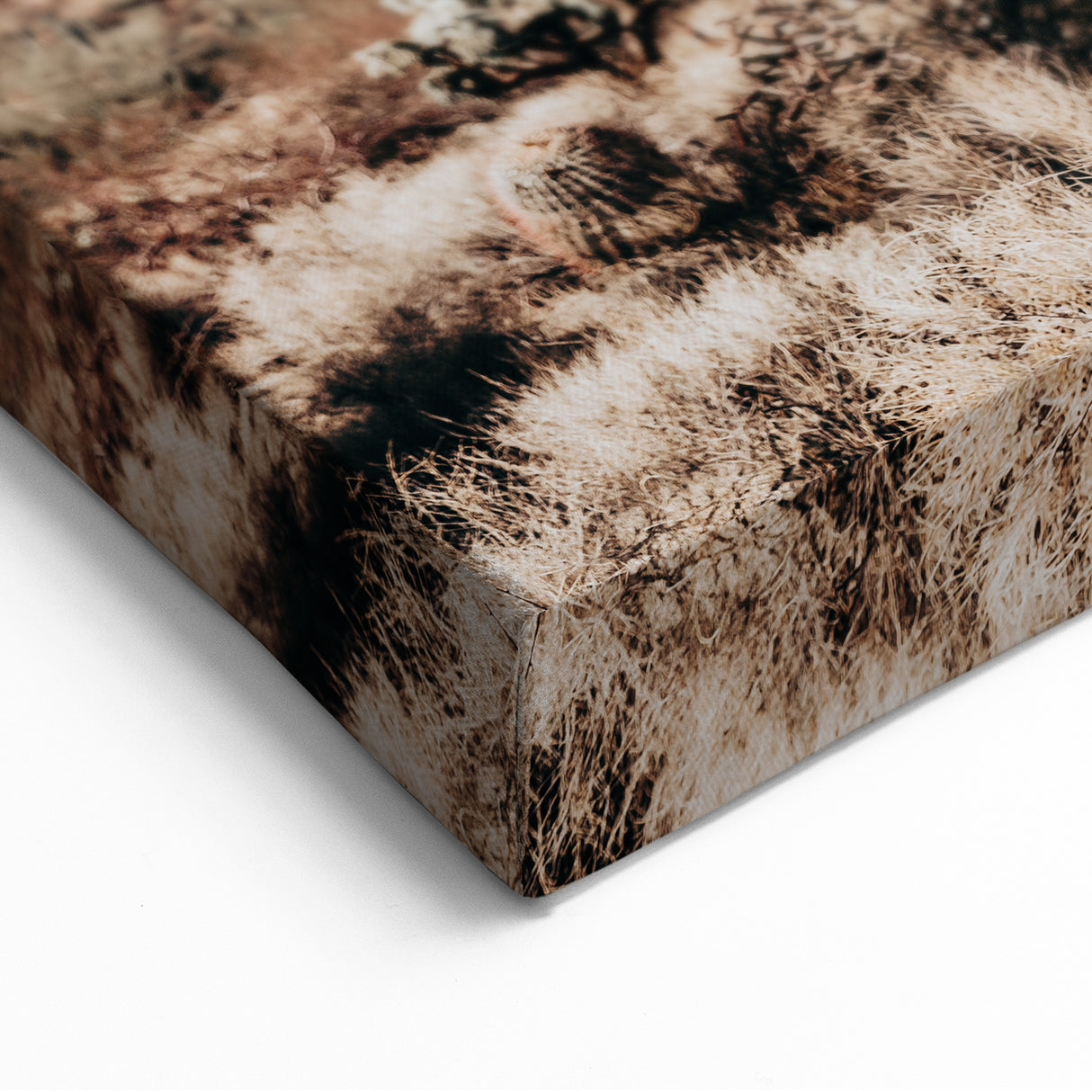 Desert Cactus Landscape - Rustic Farmhouse Wall Art for Country Decor