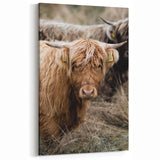 Farmhouse Wall Art - Rustic Highland Cow Print for Country Decor